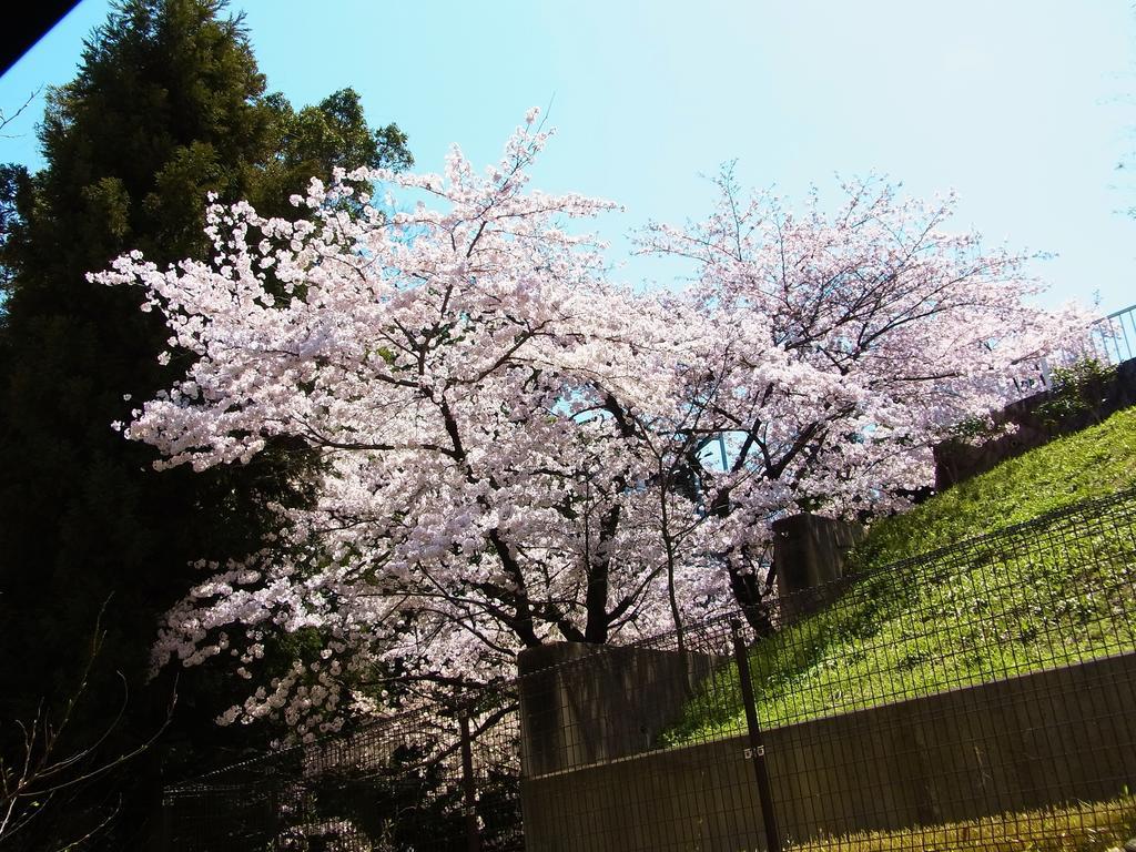 东山之宿 缘侧